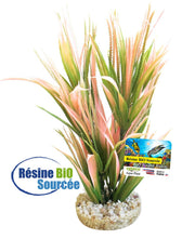 SYDECO Plante Deco Bio Aqua Exotique 22cm pour Aquarium