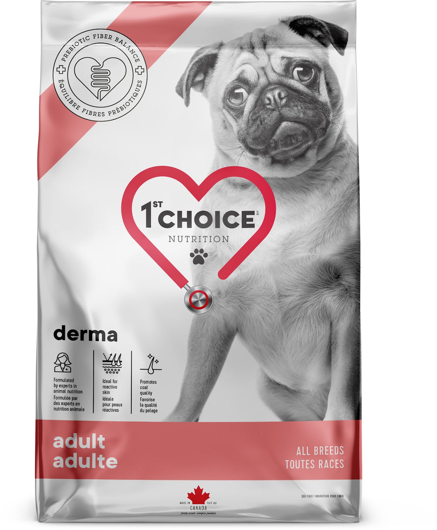 1st CHOICE Chien Derma Saumon 2kg