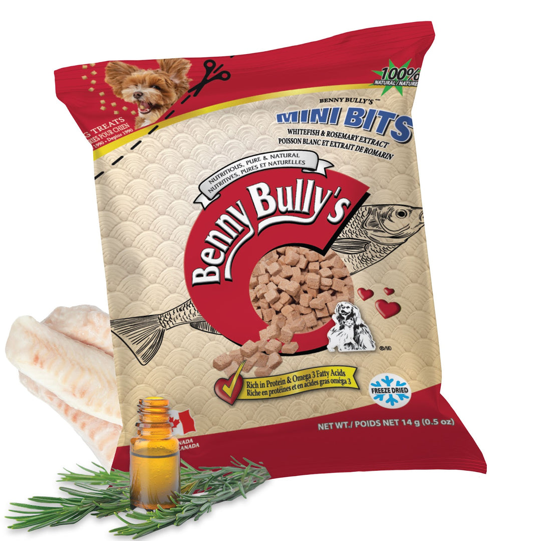 BENNY BULLY'S Gâteries Chien Mini Morue & Romarin 14g