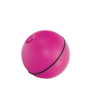Riga - Jouet Led Crazyroll pour Chats