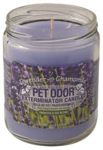 Voir l’image dans la galerie, HOLLYMOLLY Chandelle Lavender Chamomile 185g