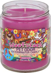 HOLLYMOLLY Chandelle Woofstock 185g