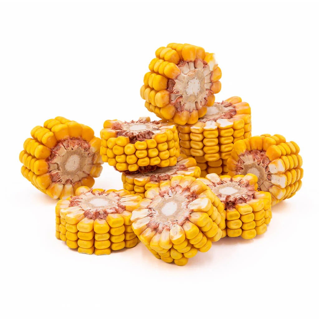 MAXIEL Gâteries Rongeur Croque Maïs 500g