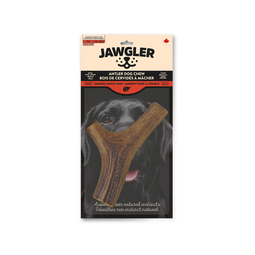 JAWGLER Gâteries Chien Bois Entier Fumé XXL
