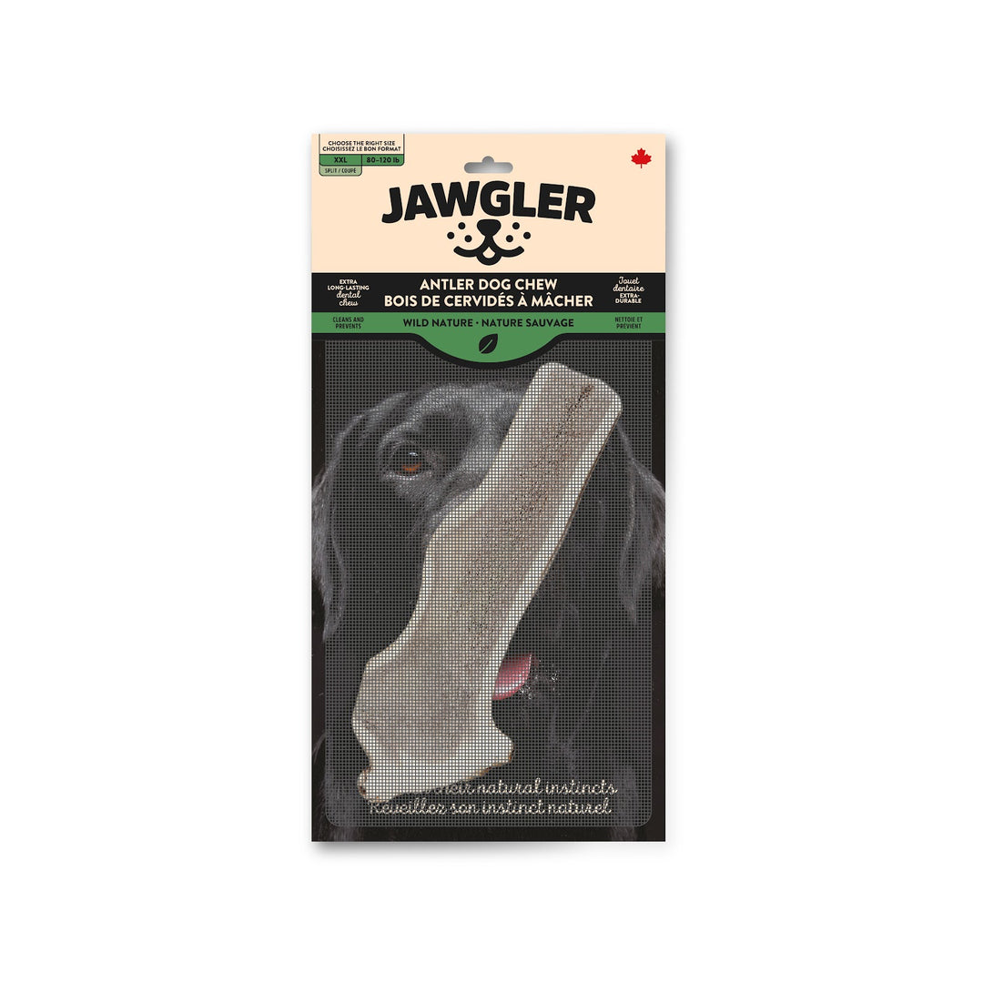 JAWGLER Gâteries Chien Bois Coupé Nature Sauvage XXL