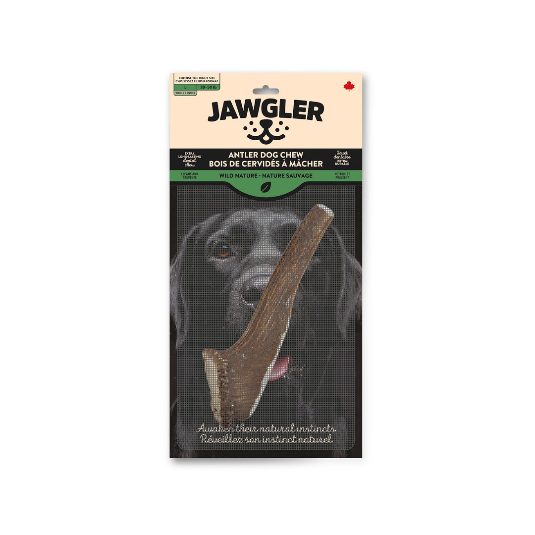 JAWGLER Gâteries Chien Bois Entier Nature Sauvage L