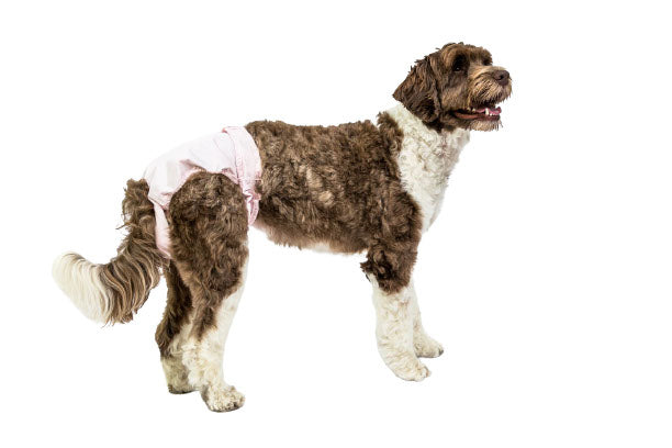 POOCHPAD PoochPants 55-90lb XL Rose