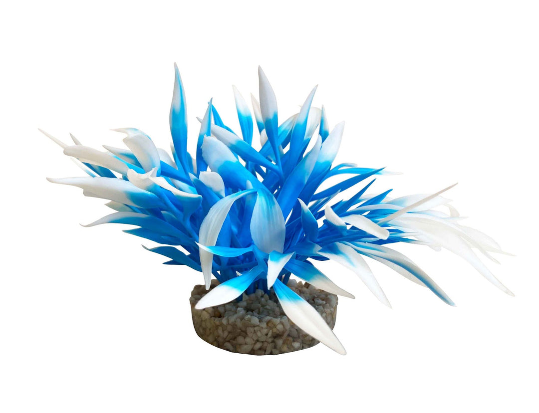 SYDECO Plante Deco Basket Nano Coloré 9cm pour Aquarium