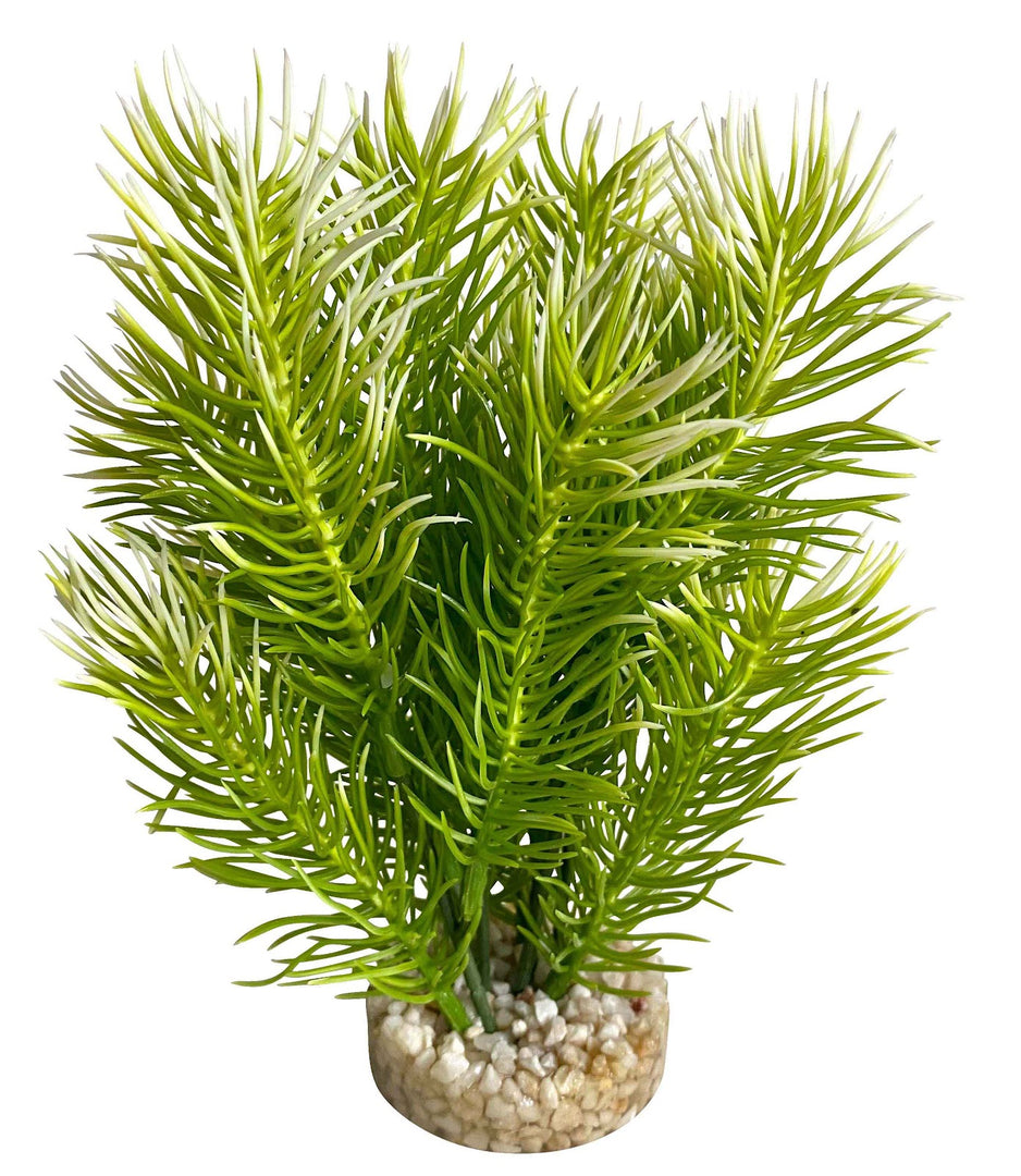 SYDECO Plante Deco Arbre Japonais 14cm pour Aquarium