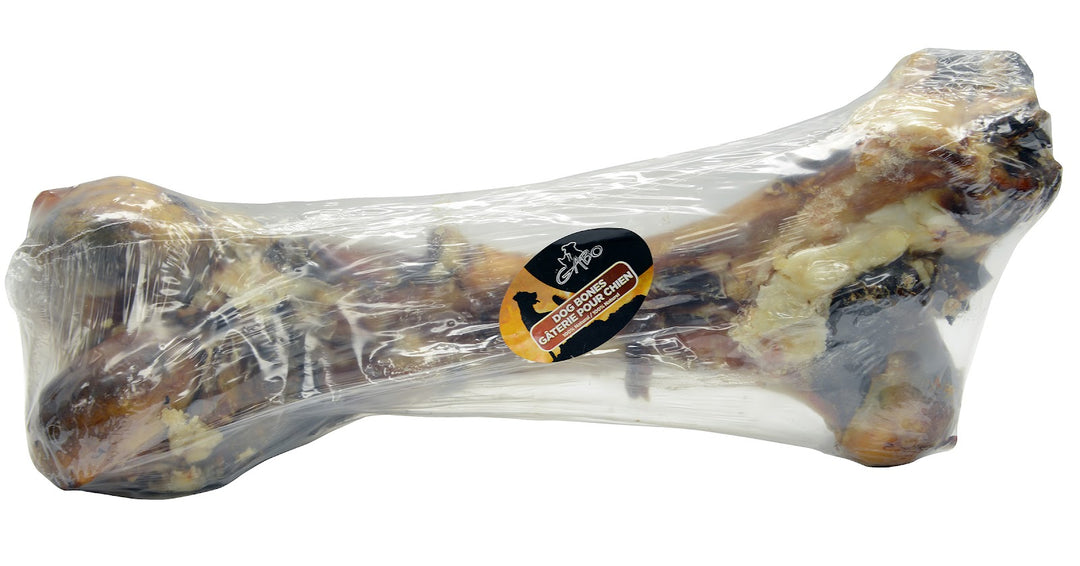 GABO Gâteries Chien Fémur de Boeuf 15-18"