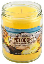 Voir l’image dans la galerie, HOLLYMOLLY Chandelle Pineapple Coconut 185g