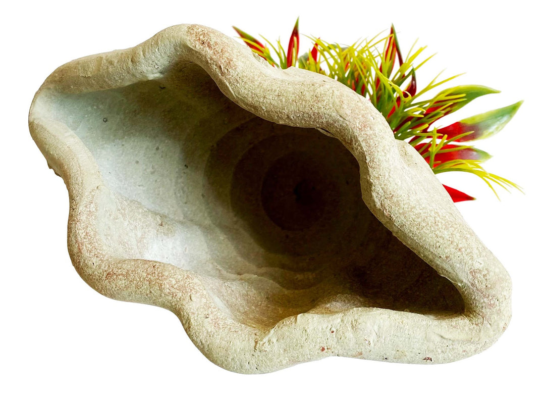 SYDECO Plante Deco Abris Marins 16cm pour Aquarium