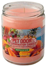 Voir l’image dans la galerie, HOLLYMOLLY Chandelle Maui Wowie Mango 185g