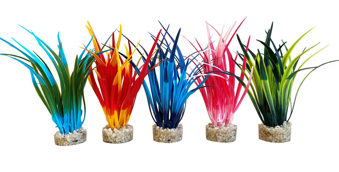 SYDECO Plante Deco Papyrus M 10cm pour Aquarium
