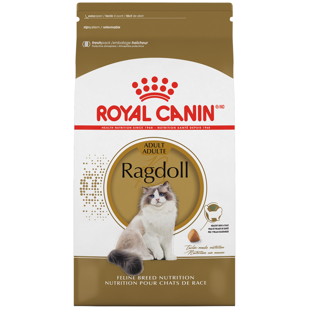 Royal Canin - Ragdoll - Nourriture Sèche pour Chats de Race