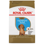 Royal Canin - Teckel - Nourriture Sèche pour Chiots