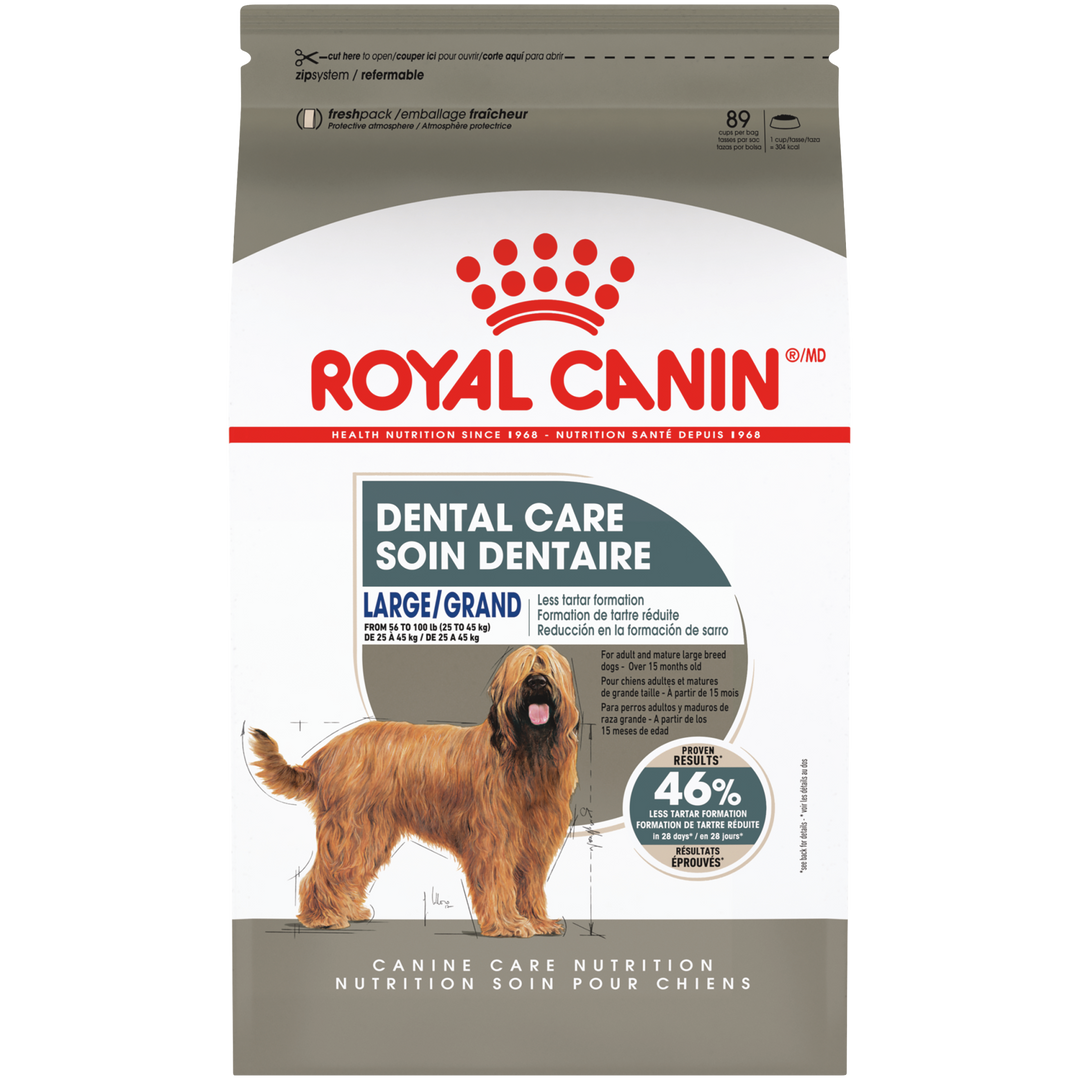 Royal Canin - GRAND Chien Soin Dentaire - Nourriture Sèche pour Chiens