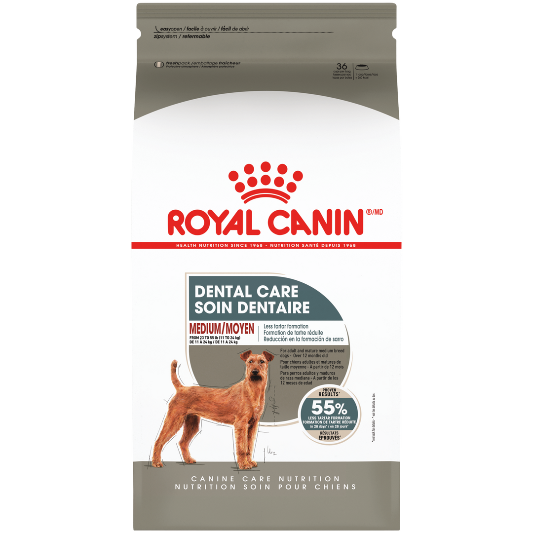 Royal Canin - MOYEN Chien Soin Dentaire - Nourriture Sèche pour Chiens