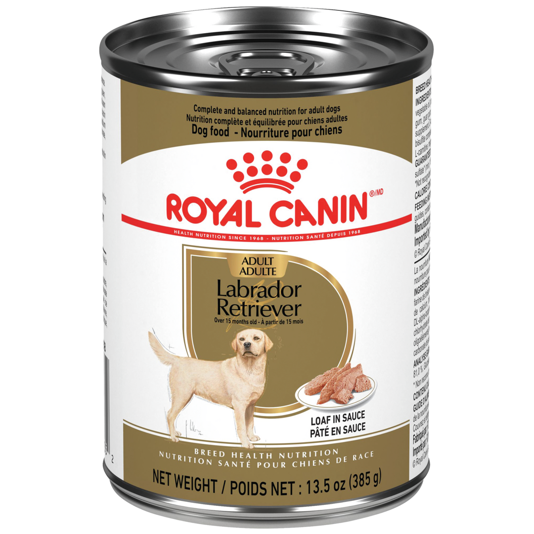 Royal Canin - Labrador Retriever - Pâté en Sauce - Nourriture Humide pour Chiens