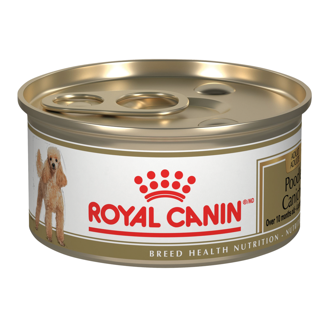 Royal Canin - Caniche Pâté en Sauce - Nourriture Humide pour Chiens