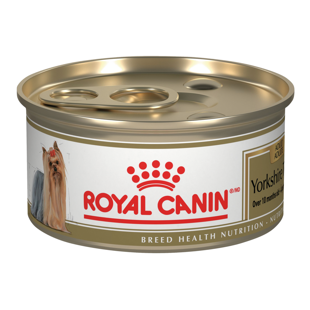 Royal Canin - Yorkshire Terrier Pâté en Sauce - Nourriture Humide pour Chiens