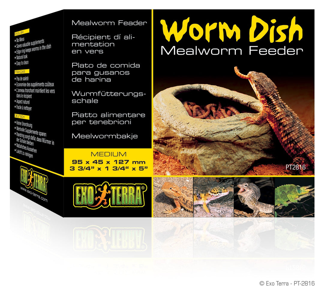 Exo Terra - Distributeur de Vers - Mangeoire pour Reptiles