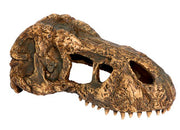 EXO TERRA Crâne de Tyrannosaure L pour Reptiles