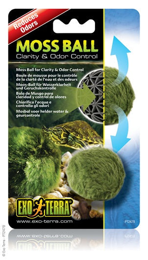 Exo Terra - Boule de Mousse - Décoration pour Terrariums