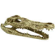 KOMODO Déco Alligator