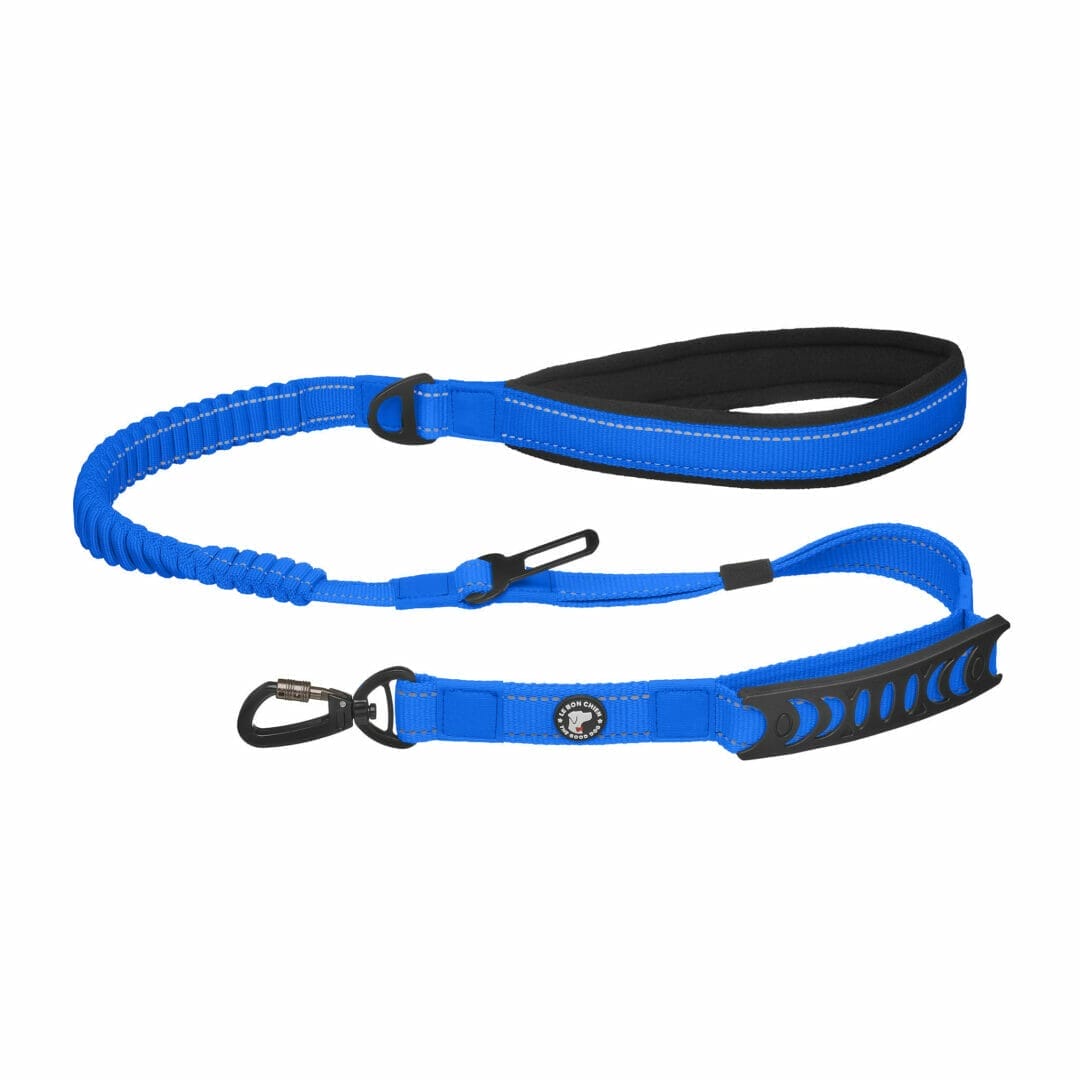 LBC Laisse Bungee Attache Voiture Bleu