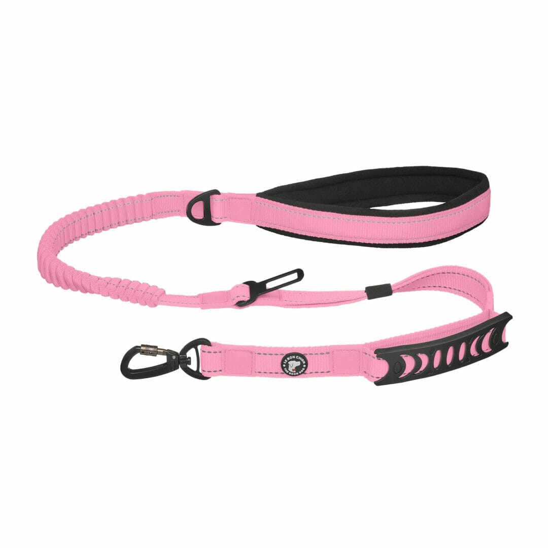 LBC Laisse Bungee Attache Voiture Rose