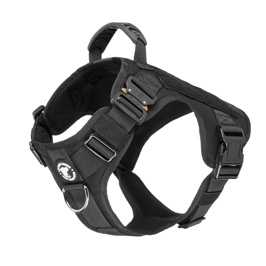 LBC Harnais Tactique Noir XXL