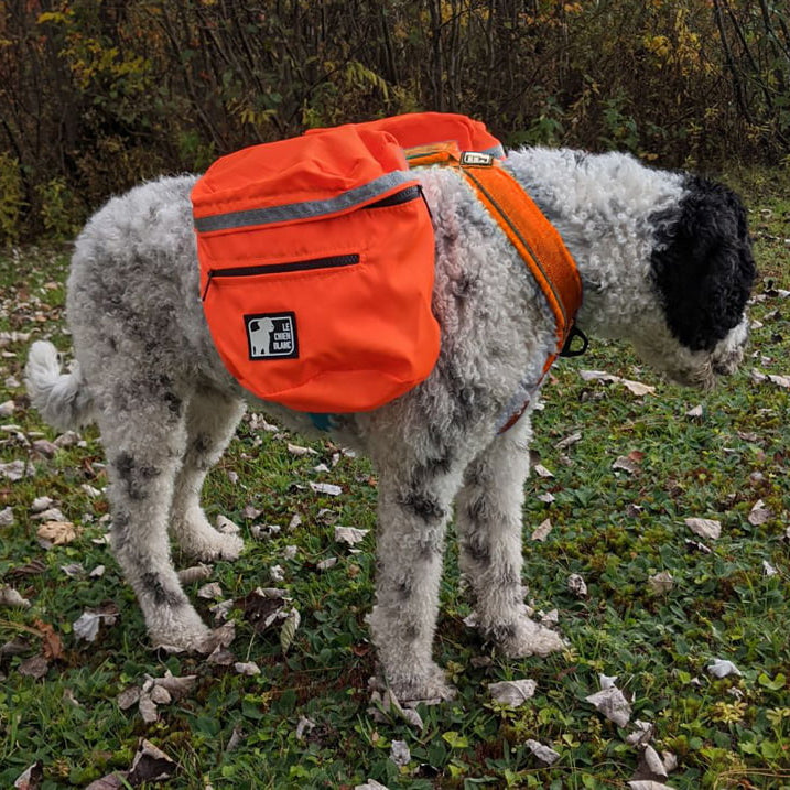 CHIEN BLANC Sac à Dos Expédition Orange