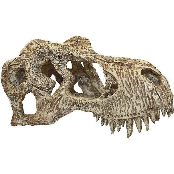 KOMODO Crâne de Rapace T-Rex, Petit pour Reptiles