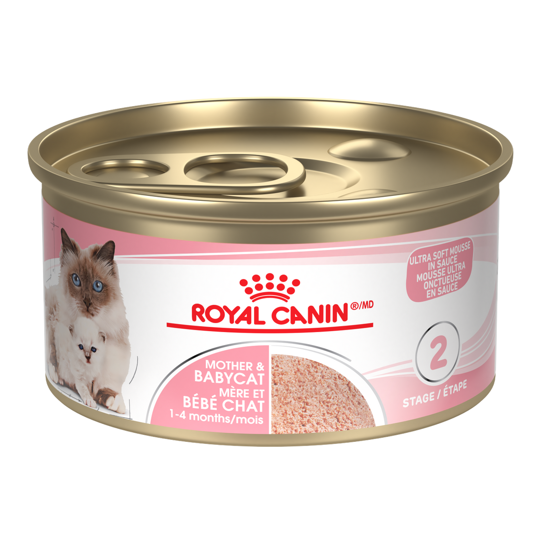 Royal Canin - Chat Mère et Bébé Chat Mousse Ultra Tendre - Nourriture Humide pour Chats