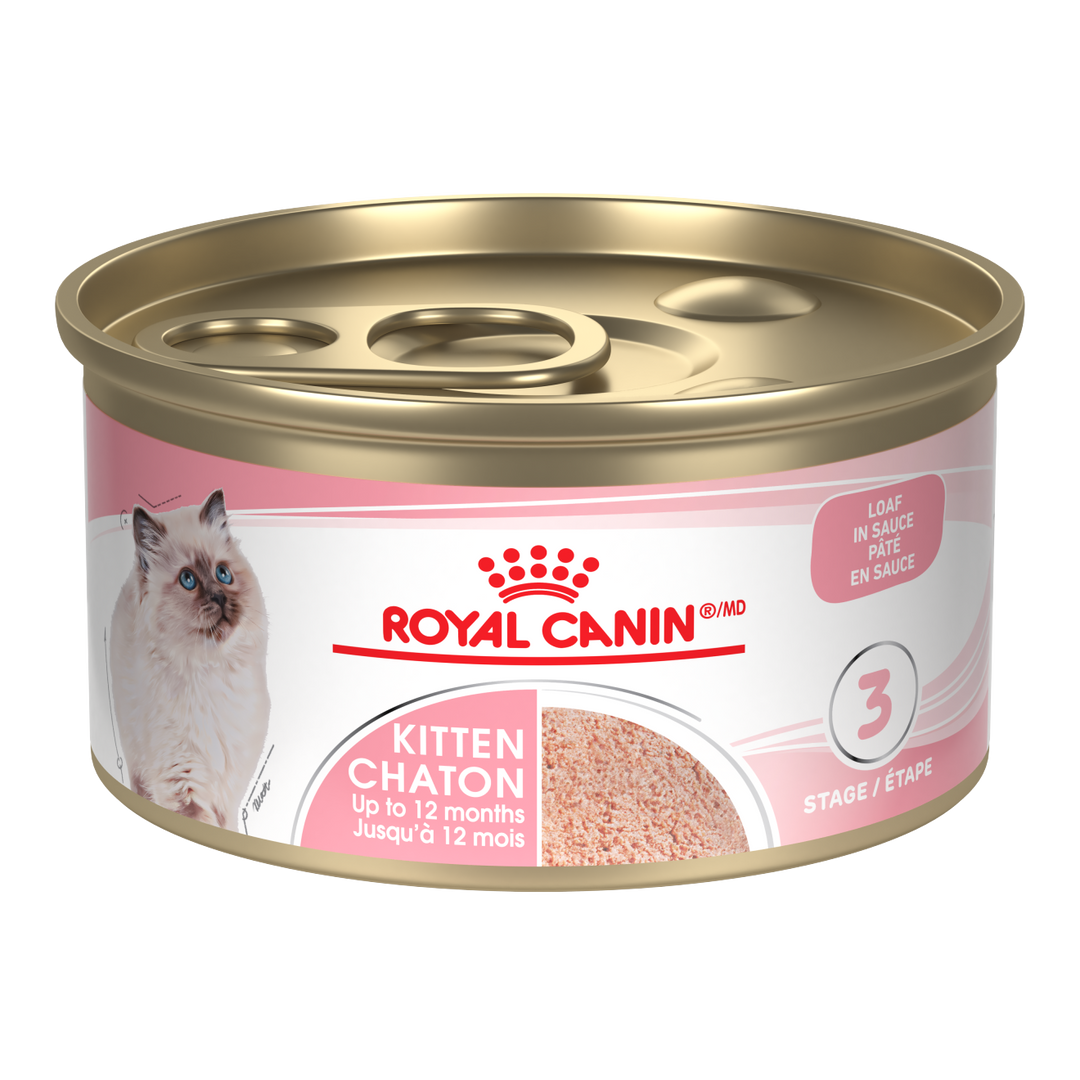 Royal Canin - Assortiment Chaton - Pâté en Sauce - Nourriture Humide pour Chats