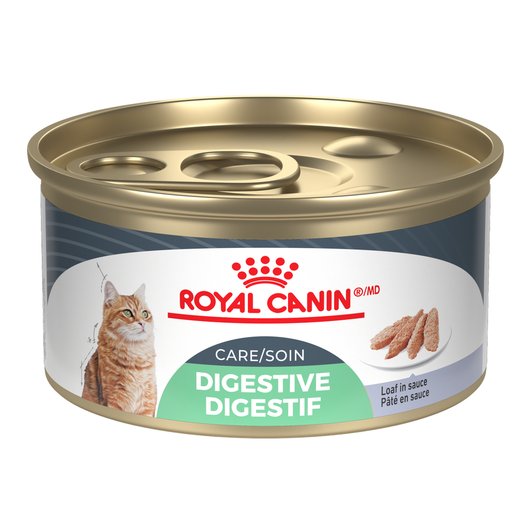 Royal Canin - Chat Soin Digestif Pâté en Sauce - Nourriture Humide pour Chats