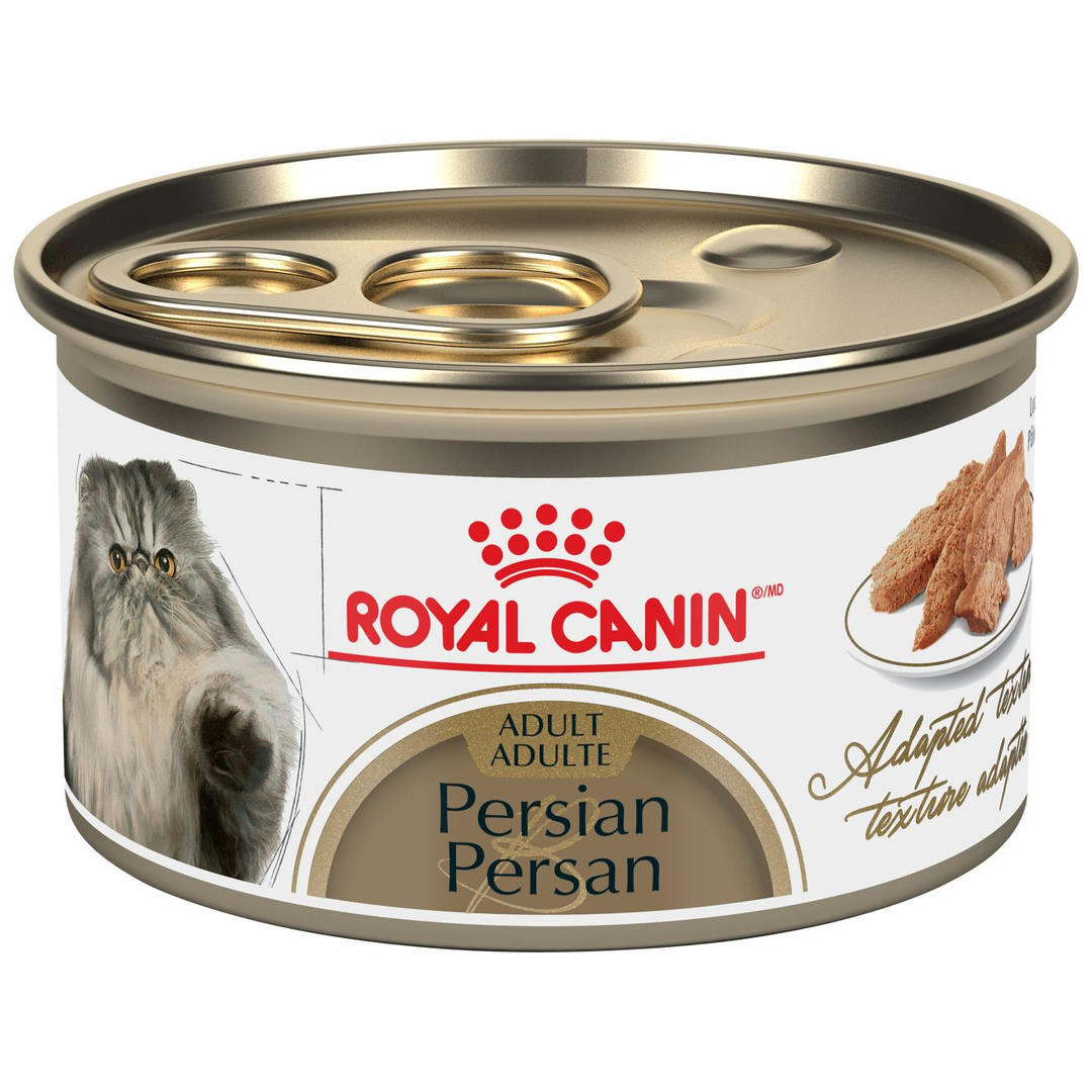 Royal Canin - Persan - Pâté en Sauce - Nourriture Humide pour Chats