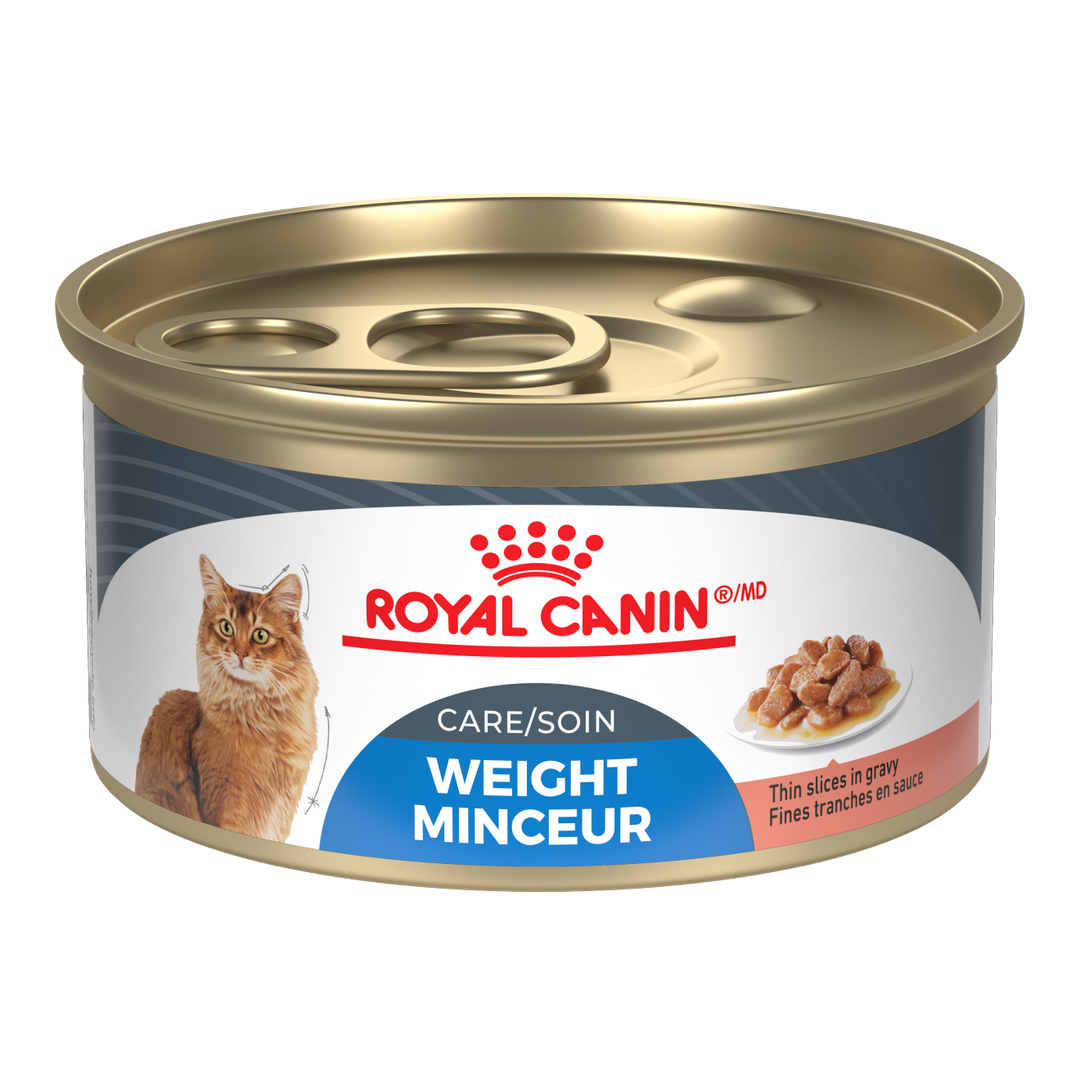 Royal Canin - Chat Soin Minceur Tranche en Sauce, Emballage de 12 - Nourriture Humide pour Chats