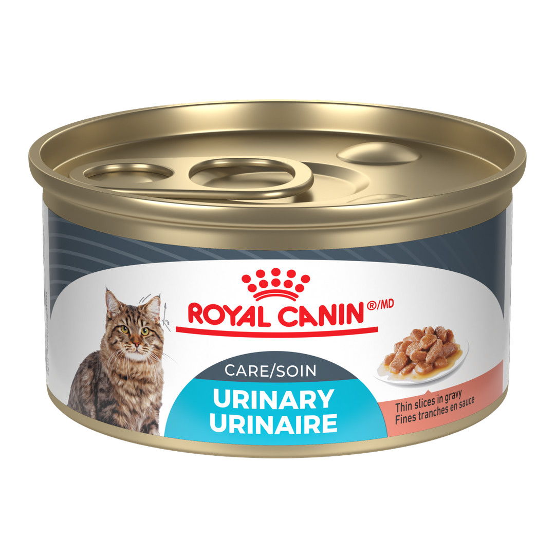 Royal Canin - Chat Soin Urinaire Tranche en Sauce, Emballage de 12 - Nourriture Humide pour Chats