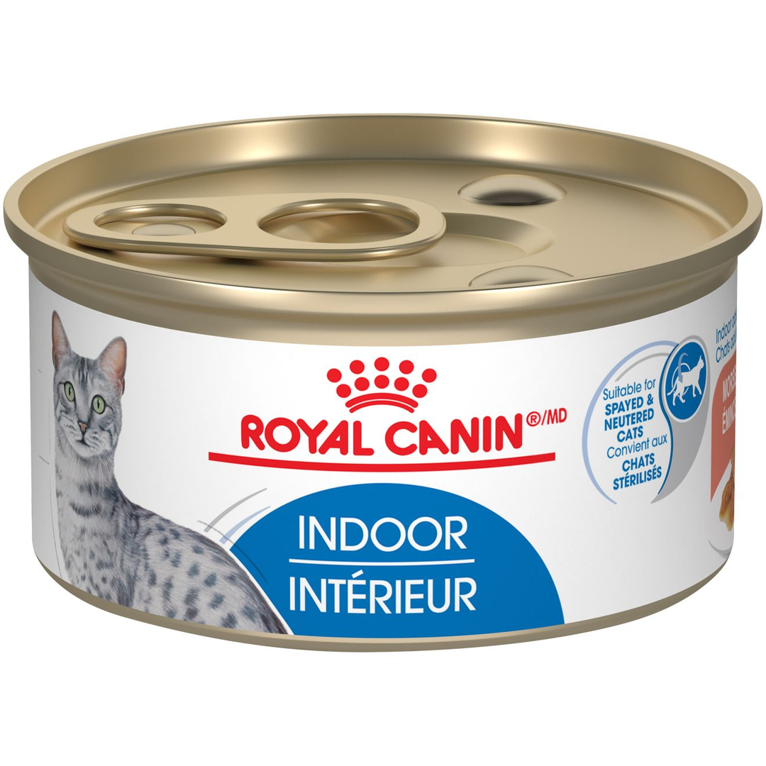Royal Canin - Assortiment Intérieur - Émincés en Sauce - Nourriture Humide pour Chats