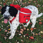 Voir l’image dans la galerie, CHIEN BLANC Sac à Dos Expédition Rouge