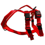 Voir l’image dans la galerie, CHIEN BLANC ATLAS Harnais Double Rouge XXS