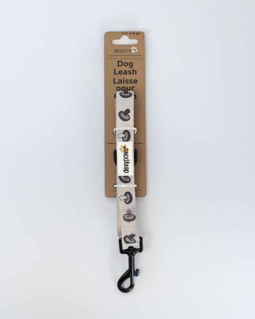 Dexypaws - Laisse en Polyester - Laisse pour Chiens