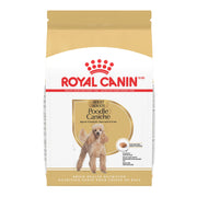 Royal Canin - Caniche - Nourriture Sèche pour Chiens Adultes
