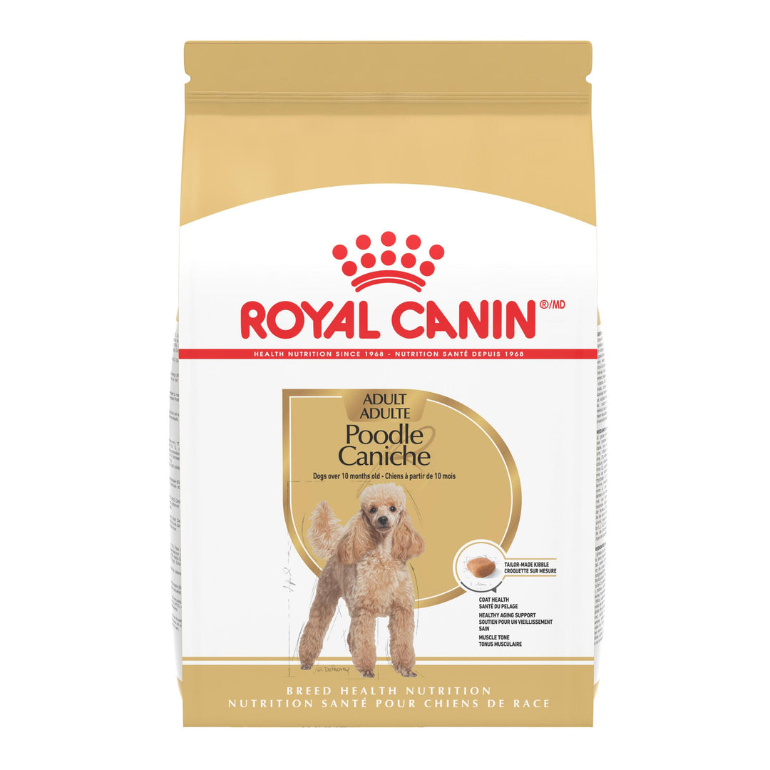 Royal Canin - Chien Adulte Caniche - Nourriture Sèche pour Chiens