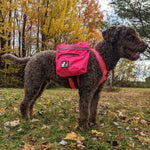 Voir l’image dans la galerie, CHIEN BLANC Sac à Dos Expédition Rose