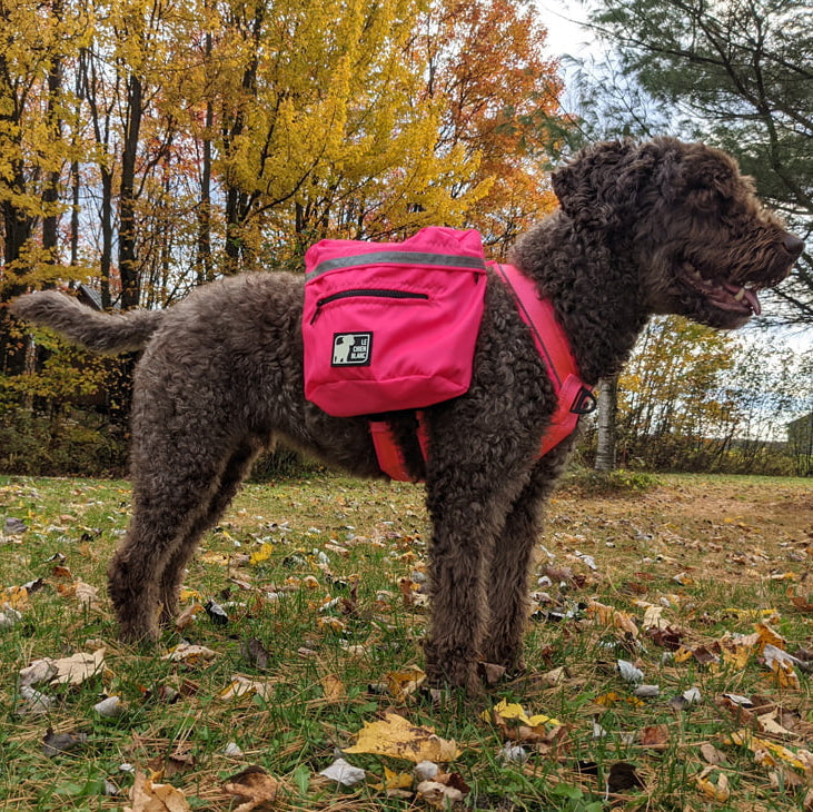 CHIEN BLANC Sac à Dos Expédition Rose