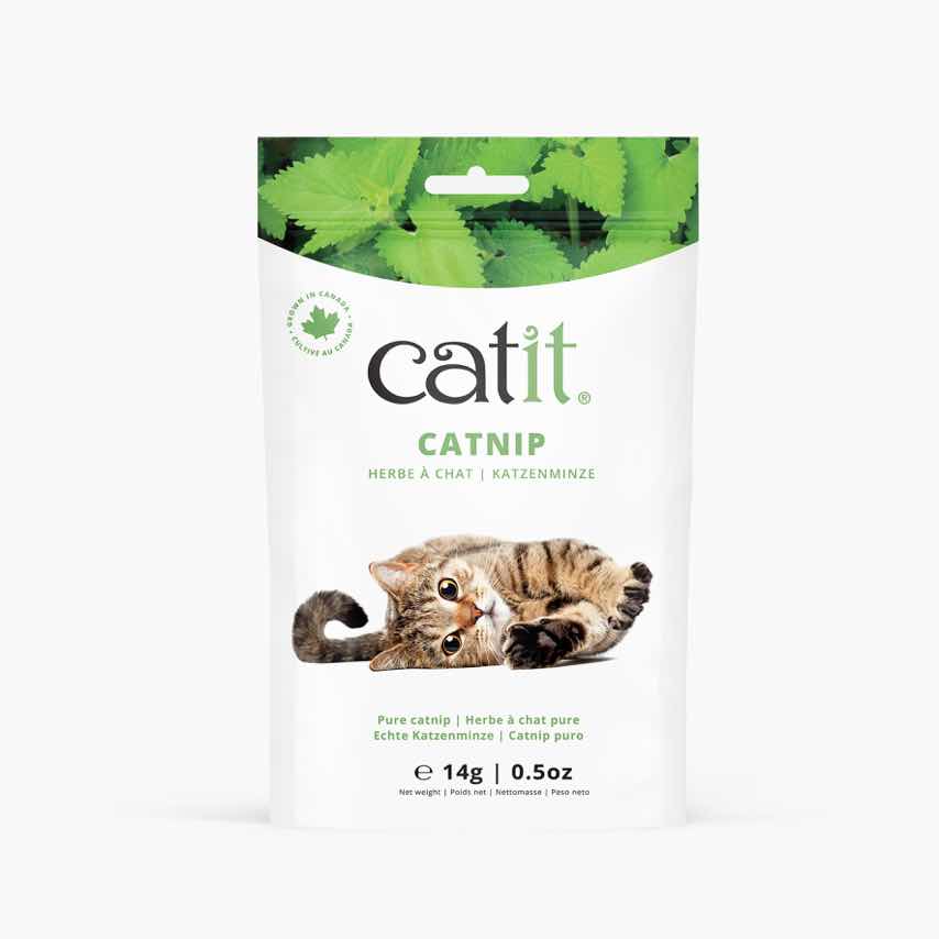 Catit Catnip - Herbe à Chat