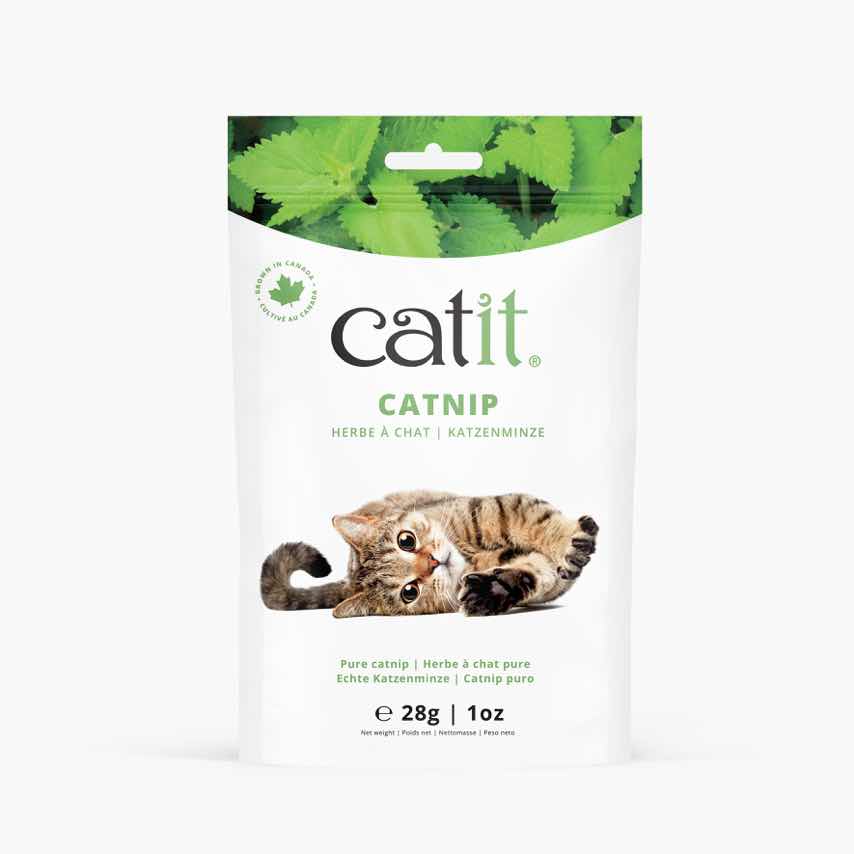 Catit Catnip - Herbe à Chat